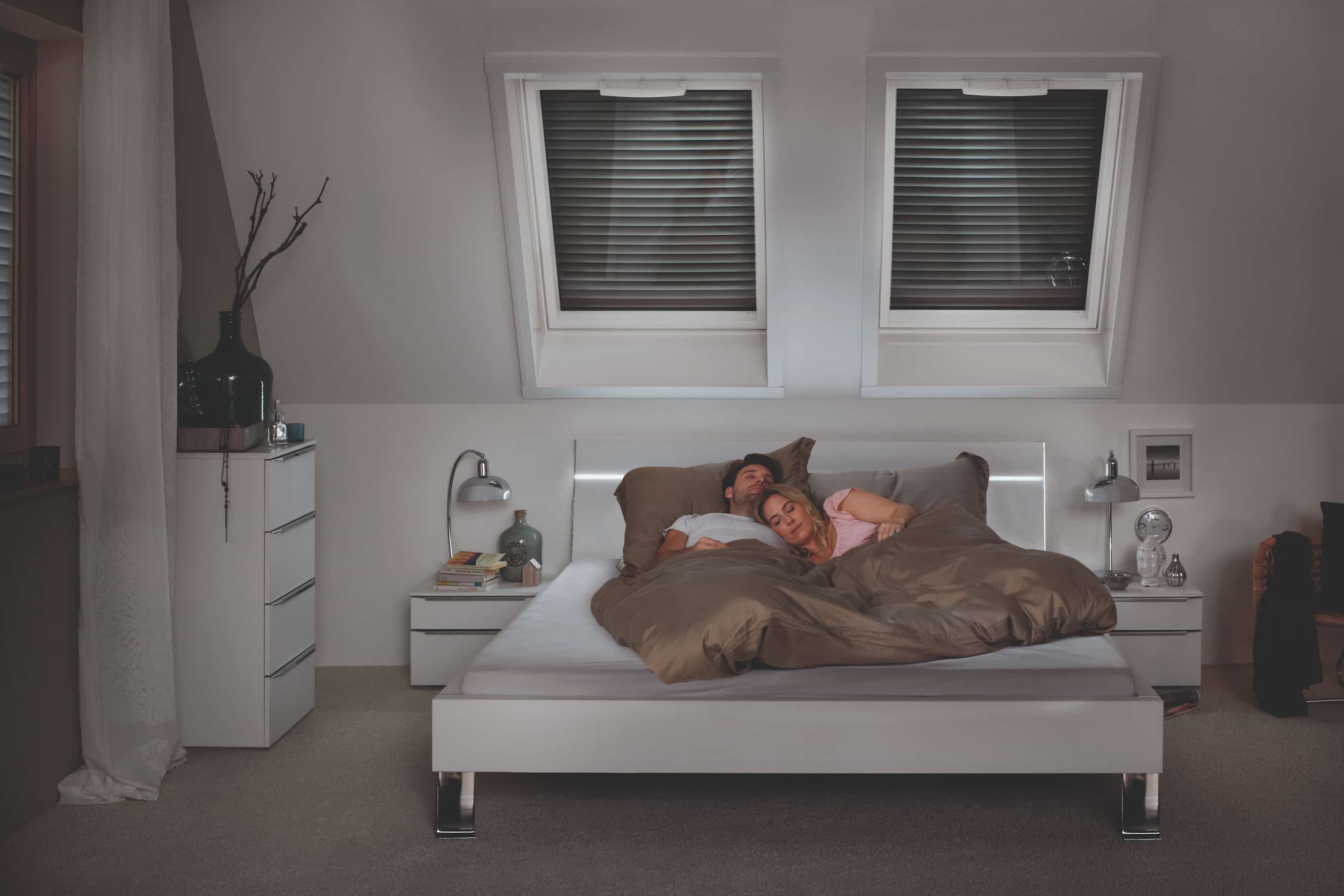 Pare soleil pour fenêtre de toit Roto 